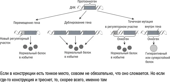 Помочь доломать протоонкоген могут внешние факторы все те которые я - фото 88