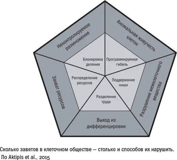 Бороться или сдаваться Несмотря на то что рак универсальное свойство - фото 89