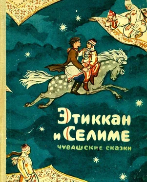 Народные сказки Этиккан и Селиме [Чувашские сказки] обложка книги