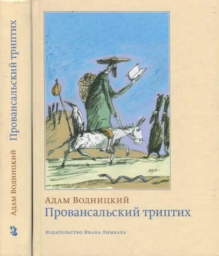 Адам Водницкий Провансальский триптих обложка книги