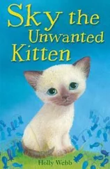 Холли Вебб - Sky The Unwanted Kitten