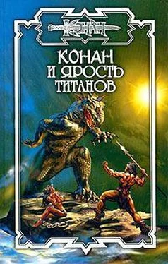 Ник Орли Конан и Ярость титанов [Сборник] обложка книги