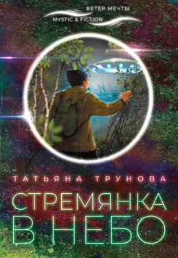 Татьяна Трунова Стремянка в небо [litres] обложка книги