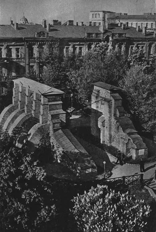 Сосновые леса вокруг старинного Киева поросшие высокой травой степи не раз - фото 24