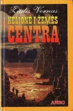 Жюль Верн Kelionė į žemės centrą обложка книги