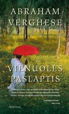 Абрахам Вергезе Vienuolės paslaptis обложка книги