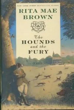 Рита Браун The Hounds And The Fury обложка книги