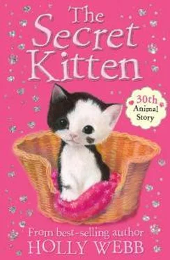 Холли Вебб The Secret Kitten обложка книги