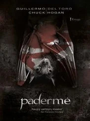 Chuck Toro - Padermė