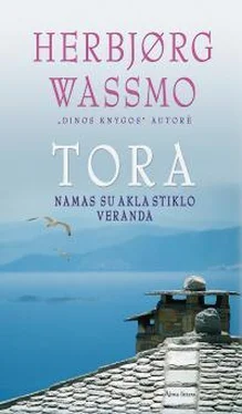 Хербьёрг Вассму Tora Namas su akla stiklo veranda обложка книги