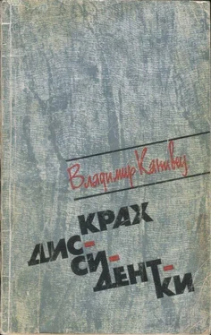 Владимир Канивец Крах диссидентки обложка книги