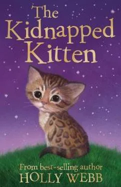 Холли Вебб The Kidnapped Kitten