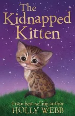 Холли Вебб The Kidnapped Kitten обложка книги