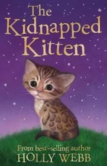 Холли Вебб - The Kidnapped Kitten