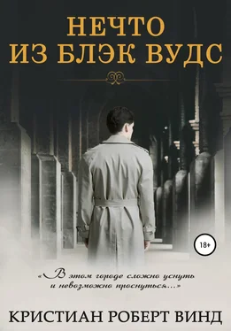 Кристиан Винд Нечто из Блэк Вудс [publisher: SelfPub] обложка книги