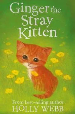 Холли Вебб Ginger The Stray Kitten обложка книги