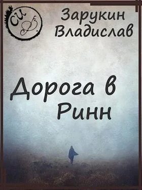 Владислав Зарукин Дорога в Ринн [СИ] обложка книги