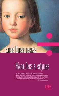 Елена Посвятовская Жила Лиса в избушке обложка книги