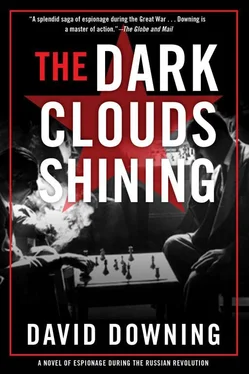 Дэвид Даунинг The Dark Clouds Shining обложка книги