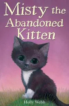 Холли Вебб Misty The Abandoned Kitten обложка книги