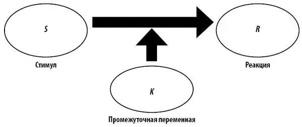 Эксперименты Толмена позволили скорректировать представления классического - фото 40