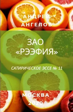 Андрей Ангелов ЗАО «Рээфия» обложка книги