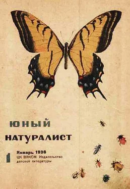 Неизвестный Автор Журнал Юный натуралист №1, 1936 обложка книги