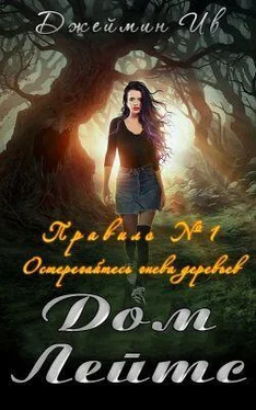Джеймин Ив Дом Лейтс (СИ) обложка книги