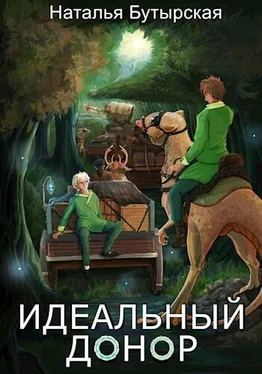 Наталья Бутырская Караван обложка книги