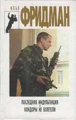 Миермилис Стейга - Последняя индульгенция. Кондоры не взлетели