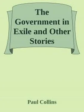 Paul Collins The Government in Exile and Other Stories обложка книги