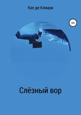 Кае де Клиари Слёзный вор обложка книги