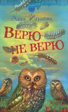 Анна Игнатова Верю — не верю обложка книги