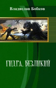 Владислав Бобков Безликий обложка книги