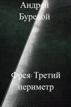 Андрей Буревой Фрея. Третий периметр обложка книги