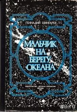 Геннадий Шингарев Мальчик на берегу океана обложка книги
