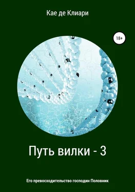 Кае де Клиари Путь вилки 3. Его превосходительство господин Половник обложка книги