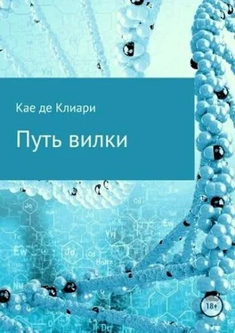 Кае де Клиари Путь вилки обложка книги