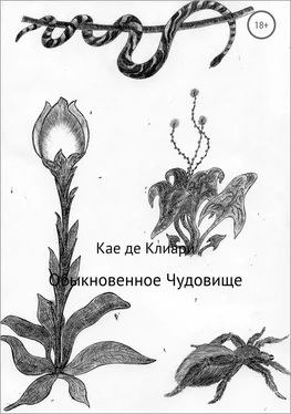 Кае де Клиари Обыкновенное Чудовище [СИ] обложка книги