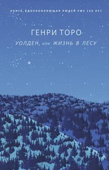 Генри Торо - Уолден, или Жизнь в лесу [litres]