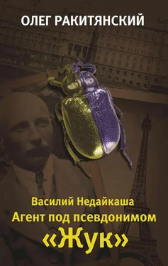 Олег Ракитянский Василий Недайкаша. Агент под псевдонимом Жук обложка книги