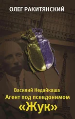 Олег Ракитянский - Василий Недайкаша. Агент под псевдонимом Жук