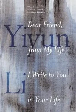 Июнь Ли Dear Friend, from My Life I Write to You in Your Life обложка книги
