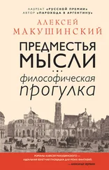 Алексей Макушинский - Предместья мысли [Философическая прогулка] [litres]