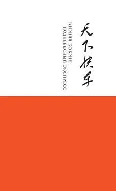 Кирилл Кобрин Поднебесный Экспресс [litres] обложка книги