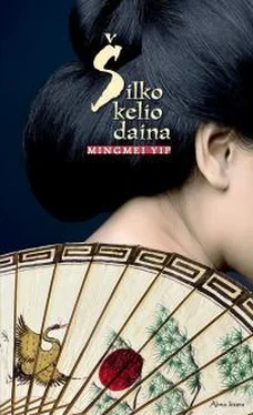 Mingmei Yip Šilko kelio daina обложка книги