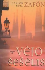 Карлос Сафон - Vėjo šešėlis