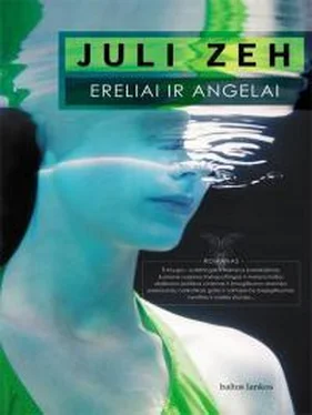 Юли Цее Ereliai ir angelai обложка книги