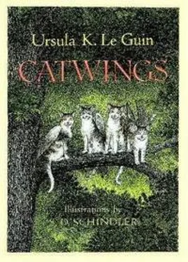 Урсула Ле Гуин Catwings обложка книги