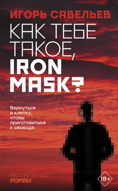 Игорь Савельев Как тебе такое, Iron Mask? [litres] обложка книги